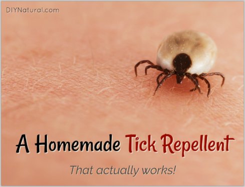 Homemade Tick Repellent DIY