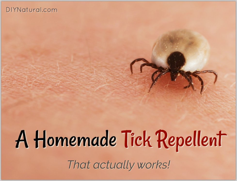 Homemade Tick Repellent: Spray That