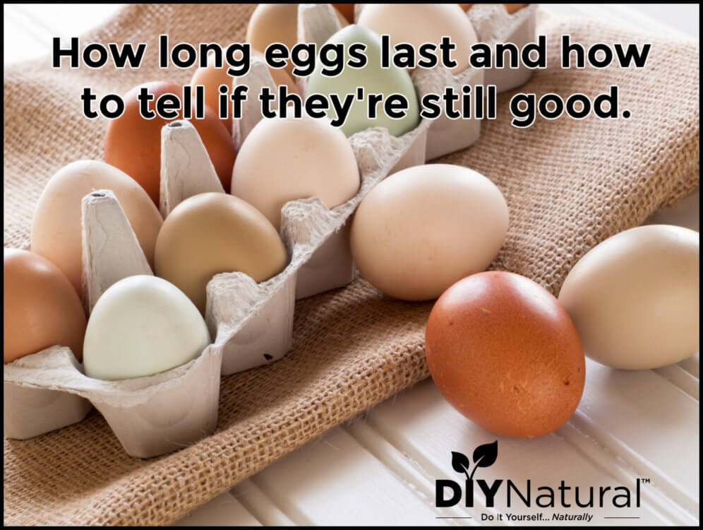 How Long do Eggs Last and Tell If Eggs Are Good