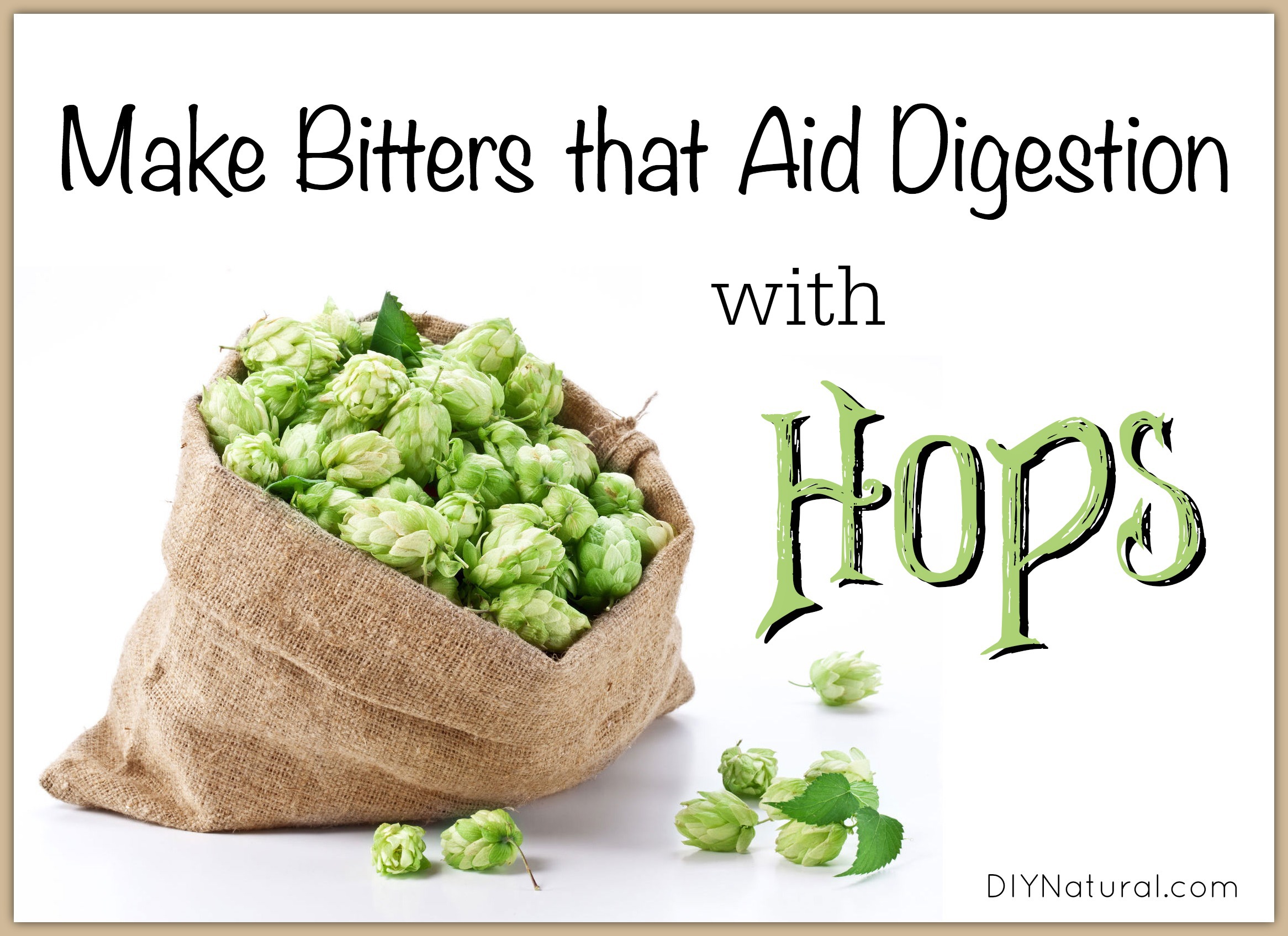 How To Make Bitters Bittering Hops