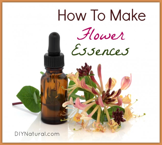 How To Make Flower Essenses