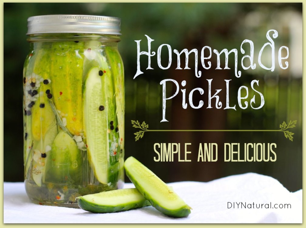 How To Pickle Cucumbers Refrigerator Pickles