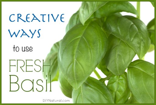 How To Use Fresh Basil