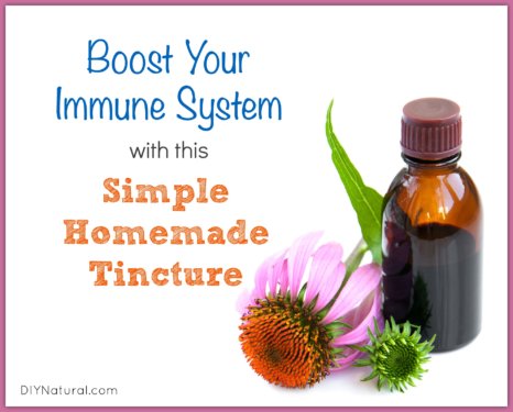 How to Boost Immune System