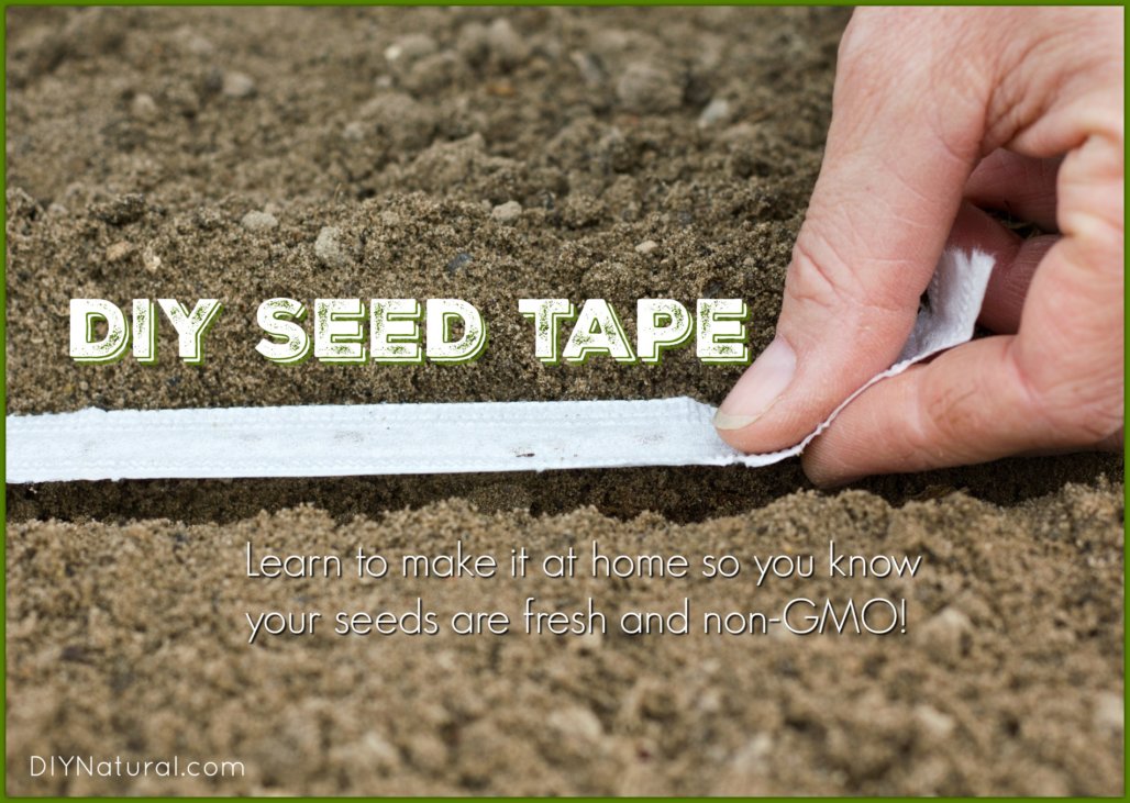 How to Make Seed Tape Homemade DIY