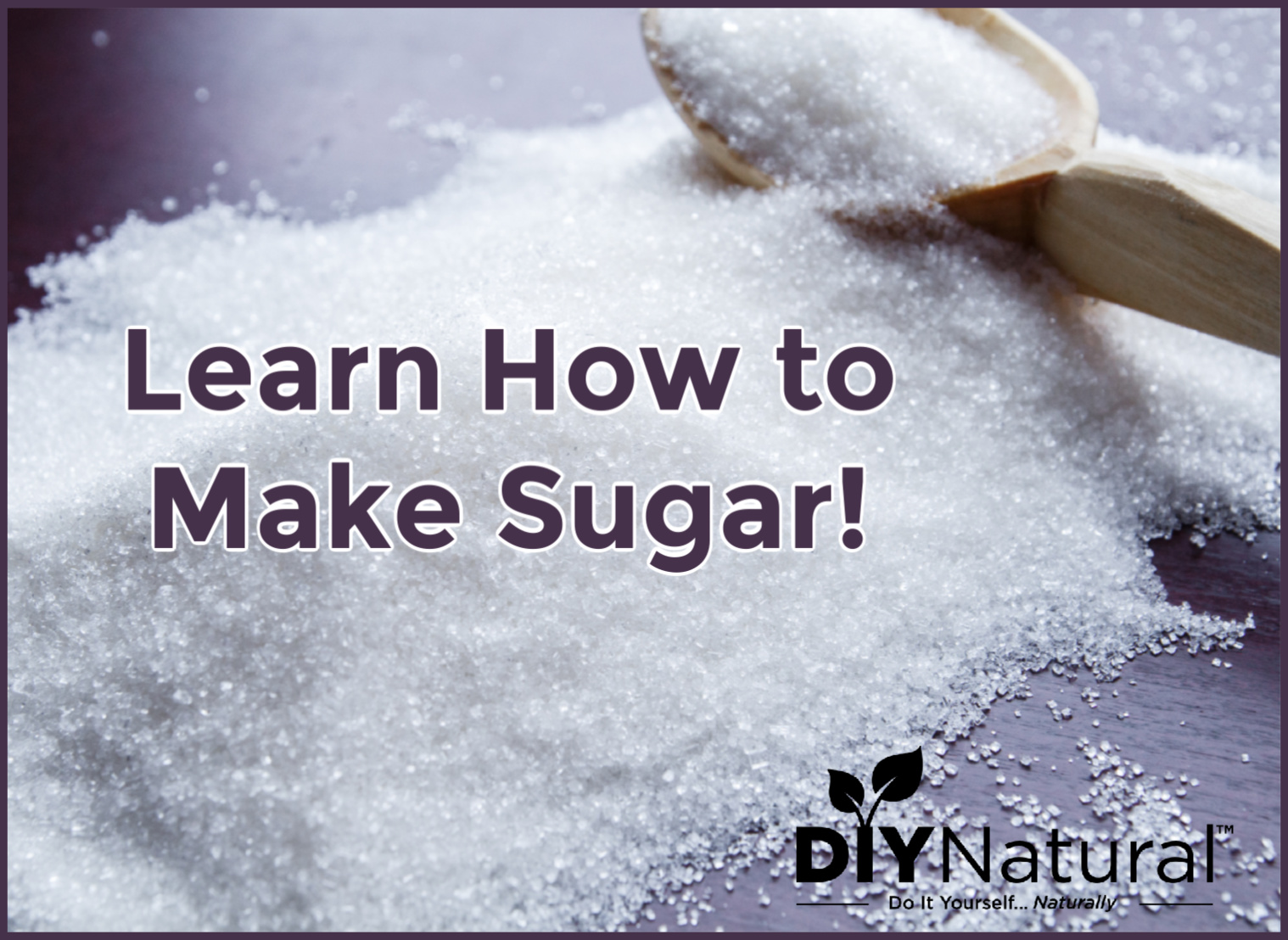 How to Make Sugar: Learn How to Make it And What Veggies Work Best