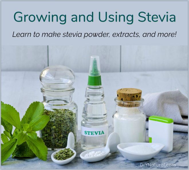 How to Use Stevia