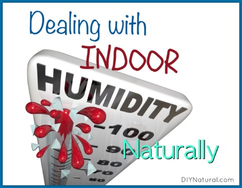 Indoor Humidity DIY Dehumidifier