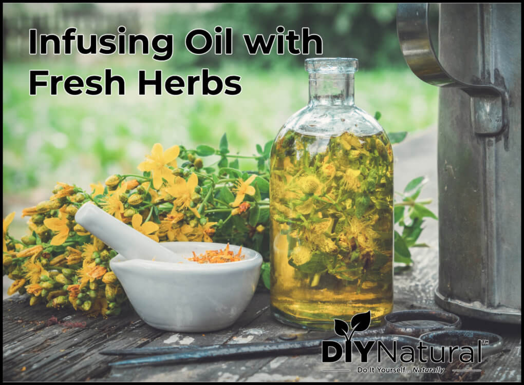 Infusing Oil With Fresh Herbs