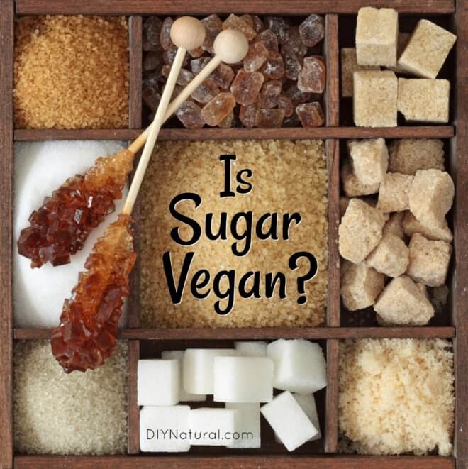 Is Sugar Vegan