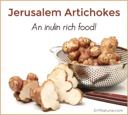 Jerusalem Artichokes Inulin Rich Foods