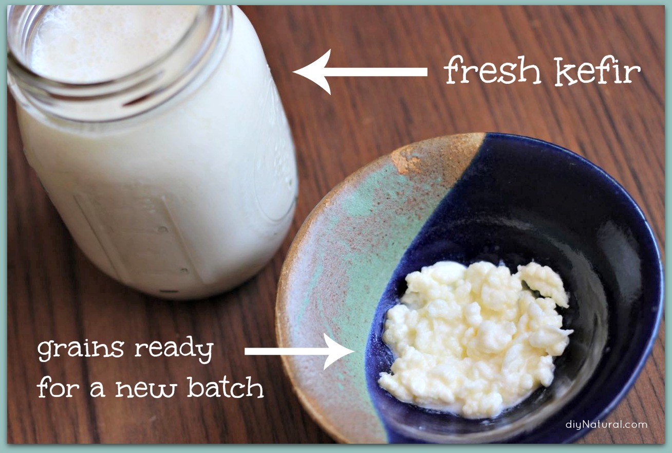 How to Make Kefir - with Probiotic Benefits