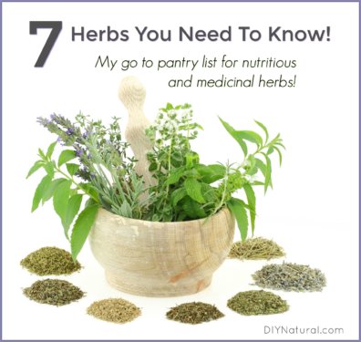 List of Herbs Medicinal Nutrition