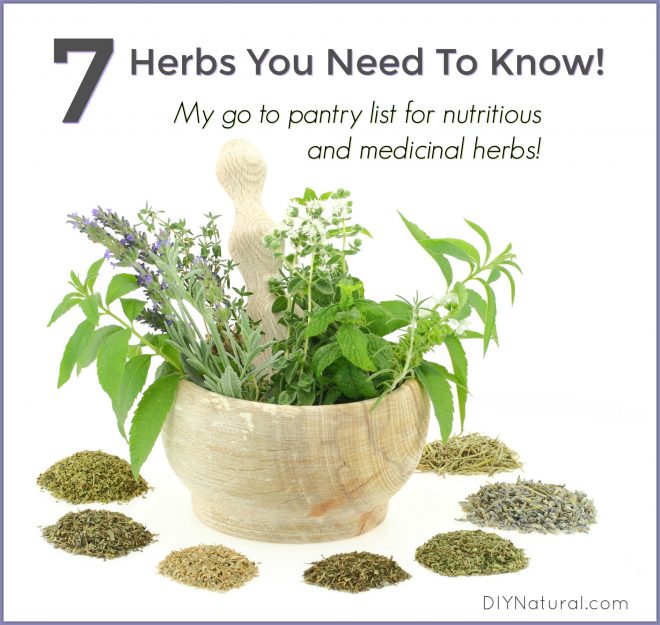 List of Herbs Medicinal Nutrition