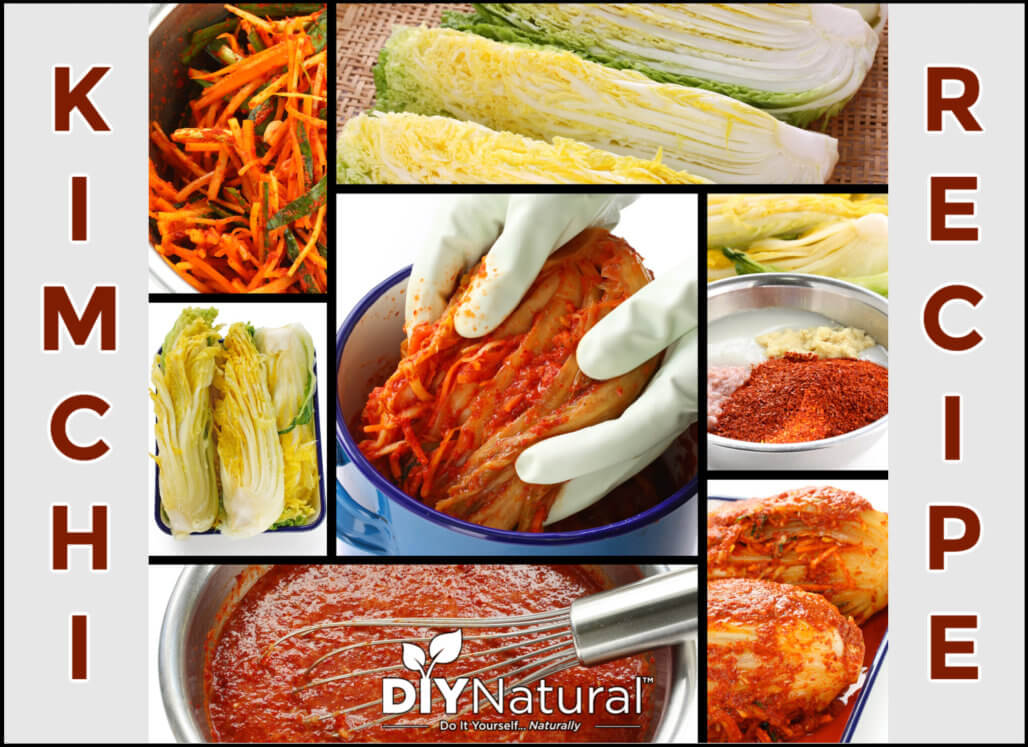 Make Kimchi Recipe