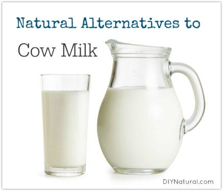 Milk Substitute Alternatives