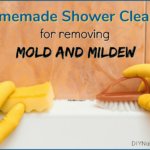 Mold in Shower Mildew Homemade Cleaner