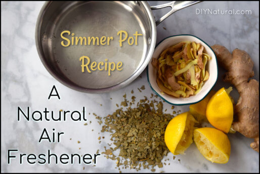 Natural Air Freshener Simmer Pot