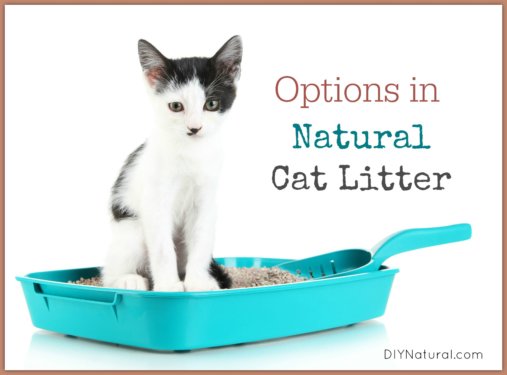 Natural Cat Litter