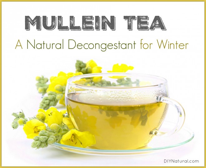Natural Decongestant Mullein Tea