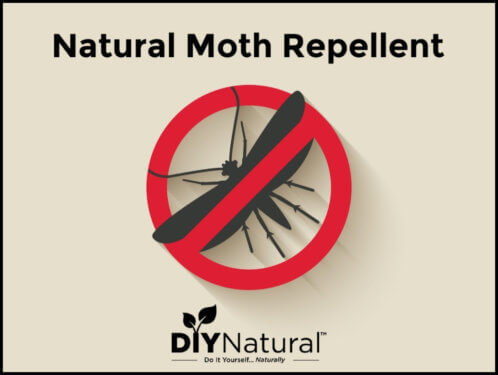 Natural Homemade Moth Repellent