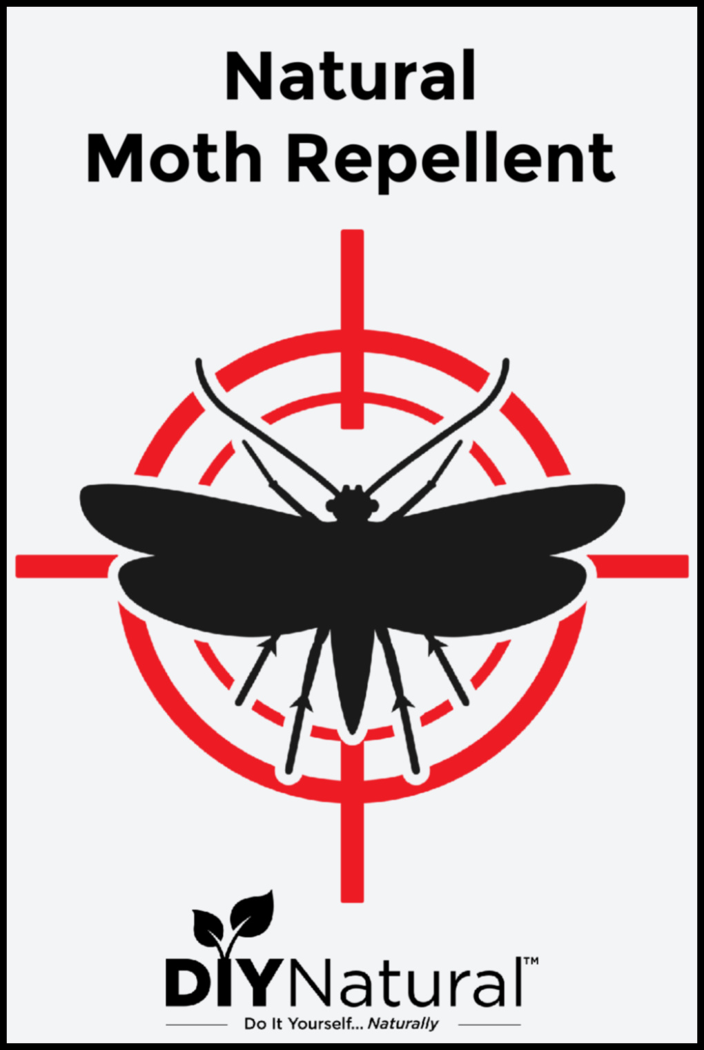 Moth Repellent: Natural Homemade Solutions Without Stinky Chemicals