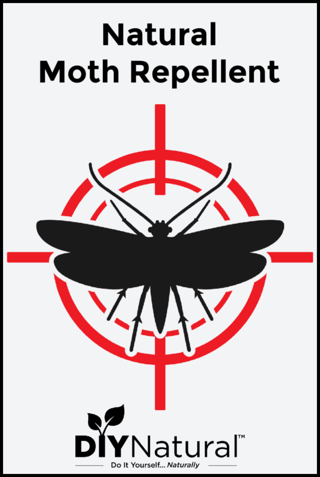 What Is The Best Natural Moth Repellent?