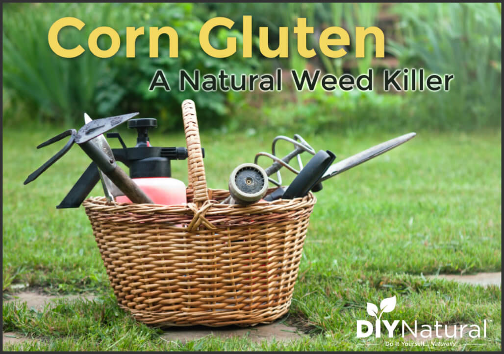 Natural Weed Killer Corn Gluten