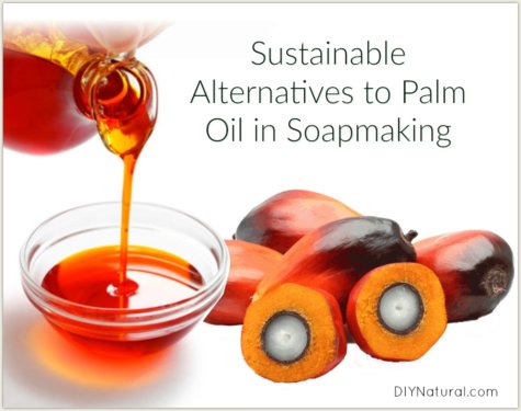Palm Oil Alternatives