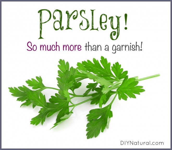 Parsley Benefits