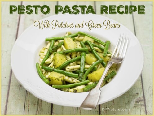 Pesto Sauce Pasta Recipe