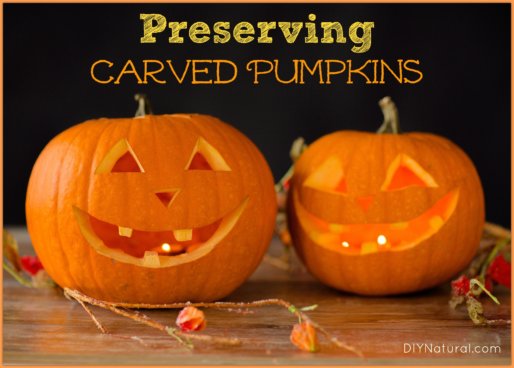 Preserving Carved Pumpkins How to