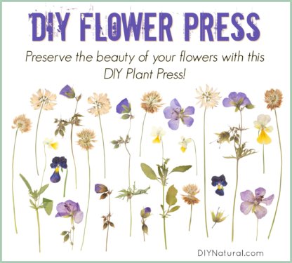 Pressing Flowers DIY Press