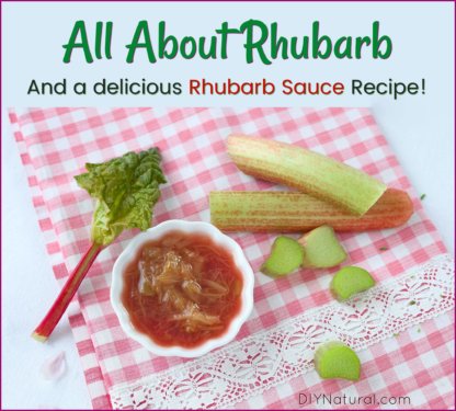 Rhubarb Sauce and Jam Recipe