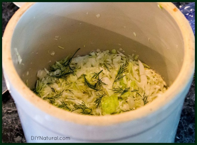 Sauerkraut Recipe 3