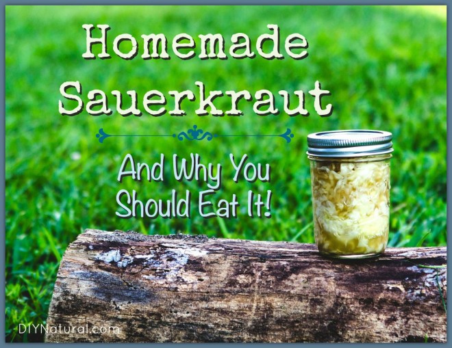 Sauerkraut Recipe
