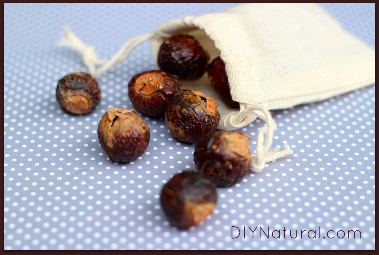 Soap Nuts 1
