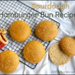 Sourdough Hamburger Bun Recipe