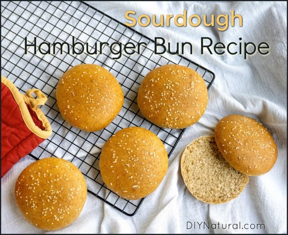 Sourdough Hamburger Bun Recipe