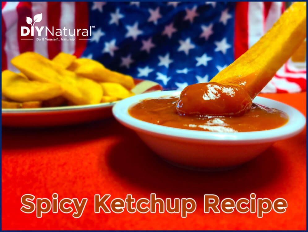 Spicy Ketchup Recipe