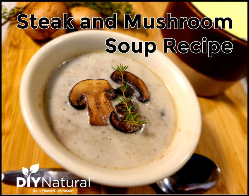 Delicious Nutritious Steak Mushroom Soup Recipe