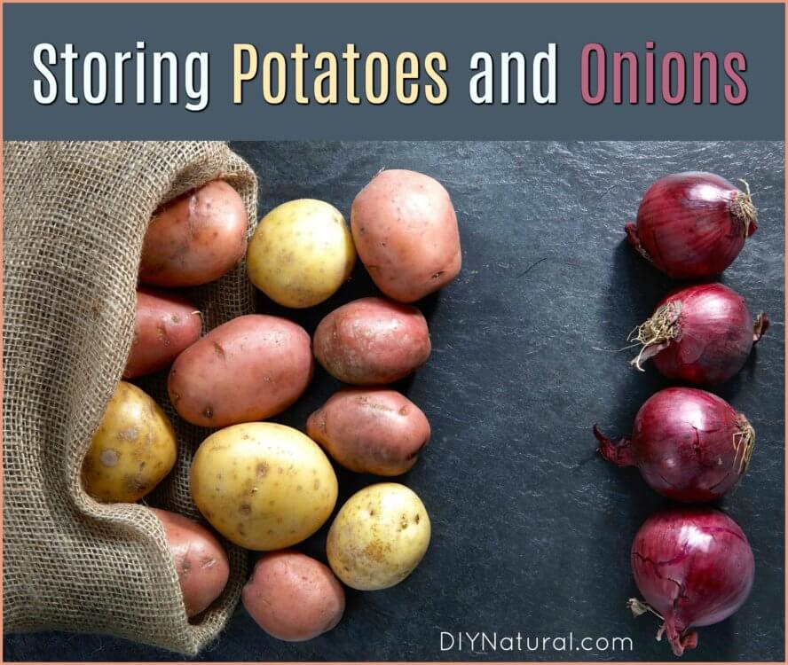 How to Store Potatoes How to Store Onions