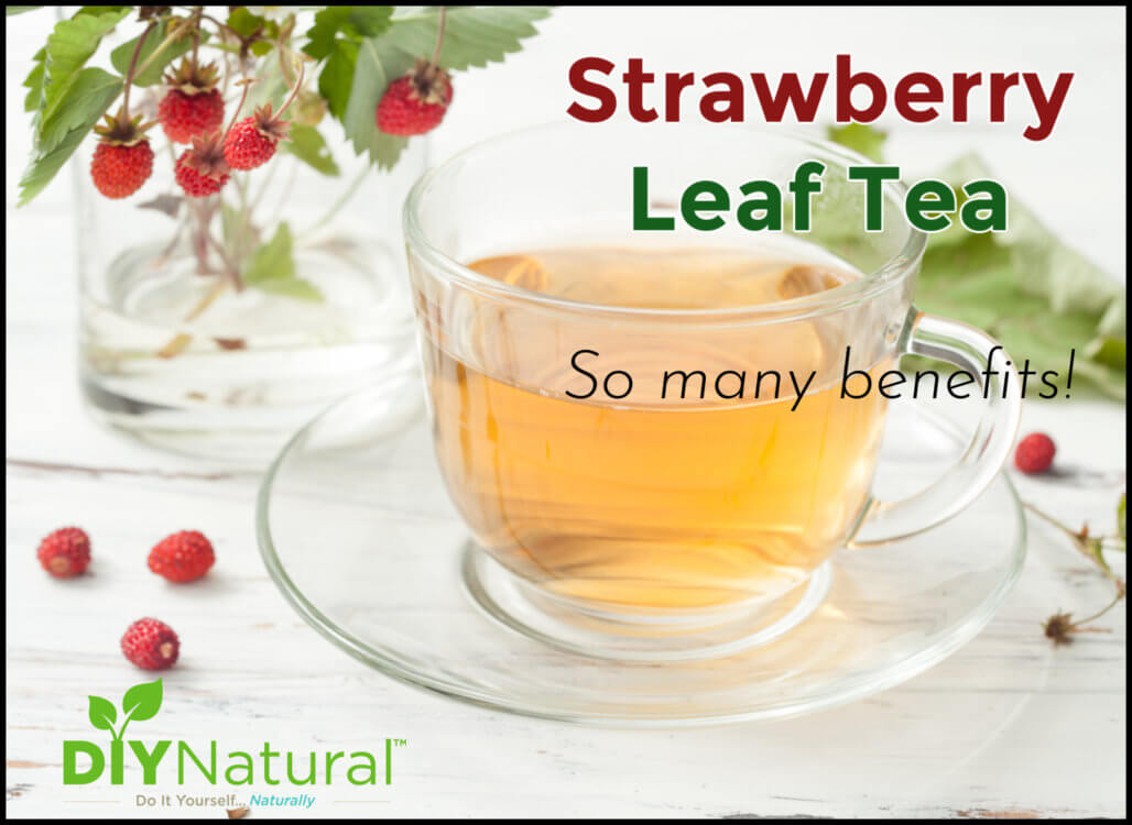 Strawberry Leaf Tea Benefits