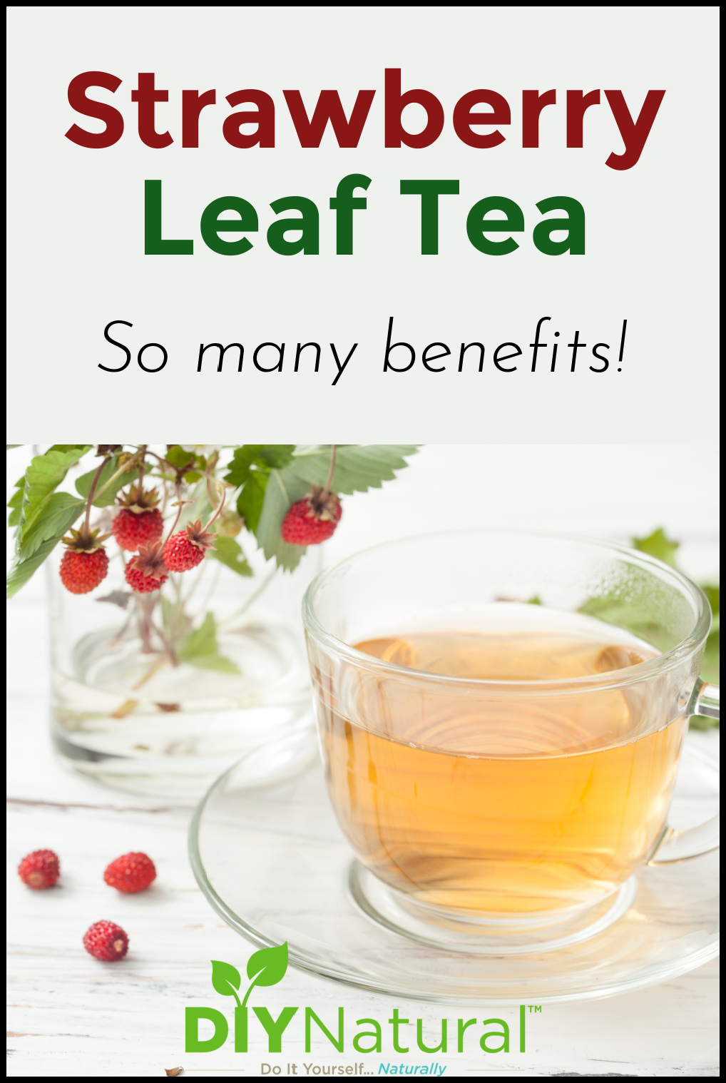 Strawberry Leaf Tea Learn All the Strawberry Leaf Benefits And Make Tea!
