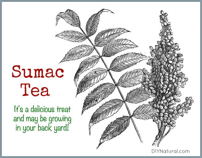 Sumac Tea Lemonade