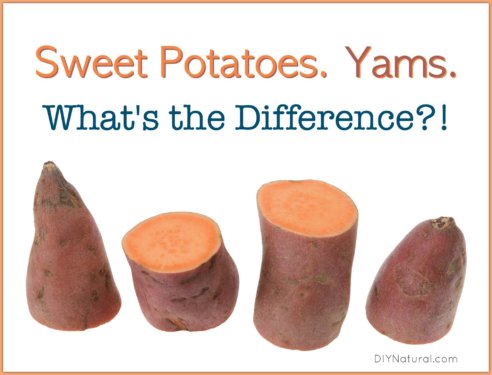 Sweet Potato Yams