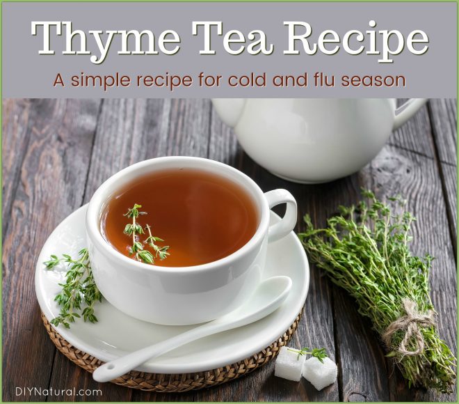 Thyme Tea Recipe
