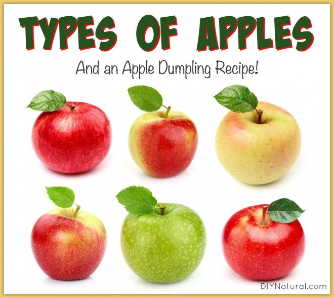 Types of Apples