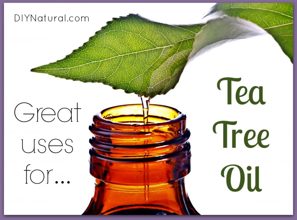 Uses For Tea Tree Oil