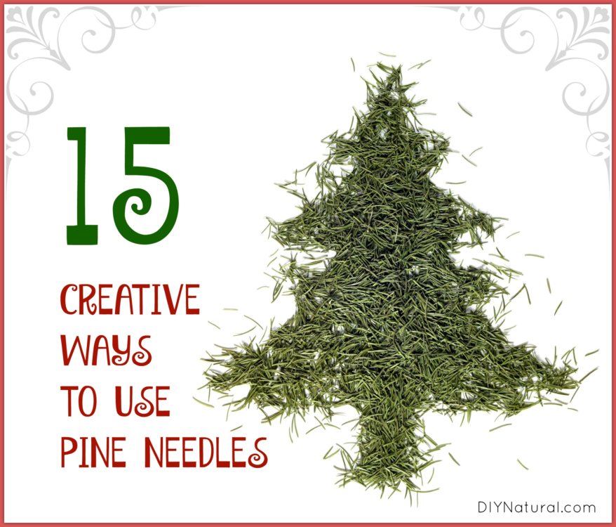 Uses for Pine Needles